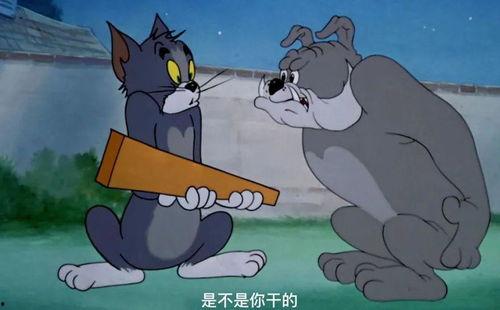 杰瑞吃瓜救人视频,瓜农界的英雄！