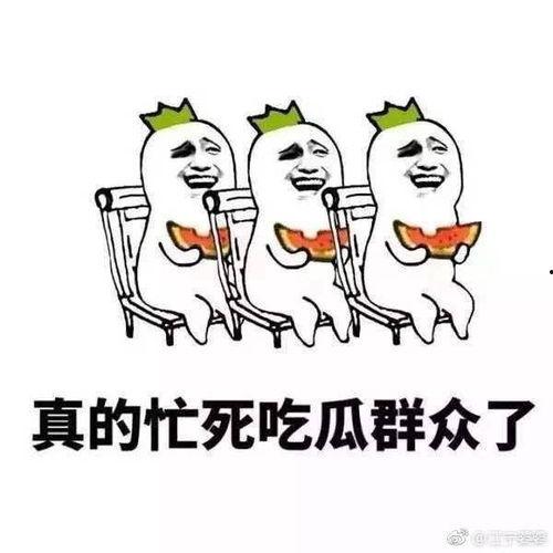 八组吃瓜群众,娱乐圈最新热点事件深度解析