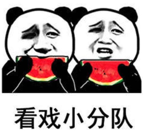 plmm带你吃瓜,畅游瓜界盛宴