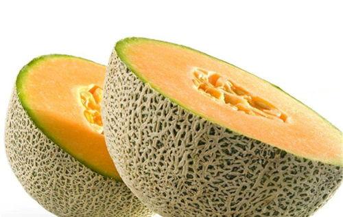 吃海螺吃哈密瓜,探寻美食的奇妙融合之旅