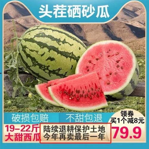 头像开心吃瓜,共享瓜趣时光