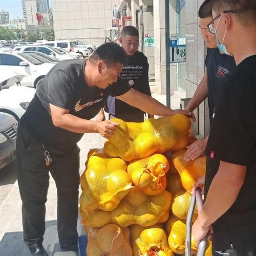 吃瓜群众报道中国,吃瓜群众视角下的社会现象解析