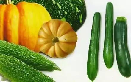 微信乡民吃瓜,揭秘微信社交圈里的那些事儿