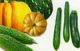 吃瓜呀吃瓜,吃瓜群众视角下的娱乐圈风云录