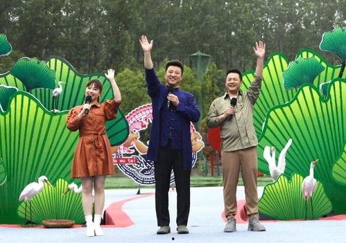 新沂近期吃瓜事件视频,揭秘背后真相与网络舆论风暴