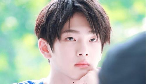 吃瓜网明星,明星们的幕后故事与真实生活