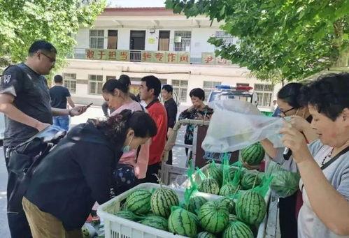 王村长吃瓜,一场乡村生活的趣味演绎